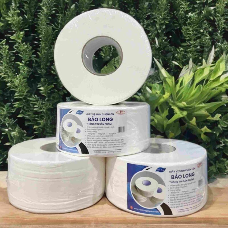 Giấy Vệ Sinh Cuộn Lớn 2 Lớp